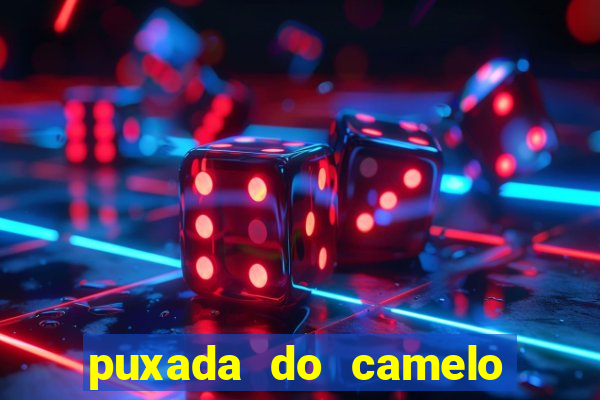 puxada do camelo no jogo do bicho